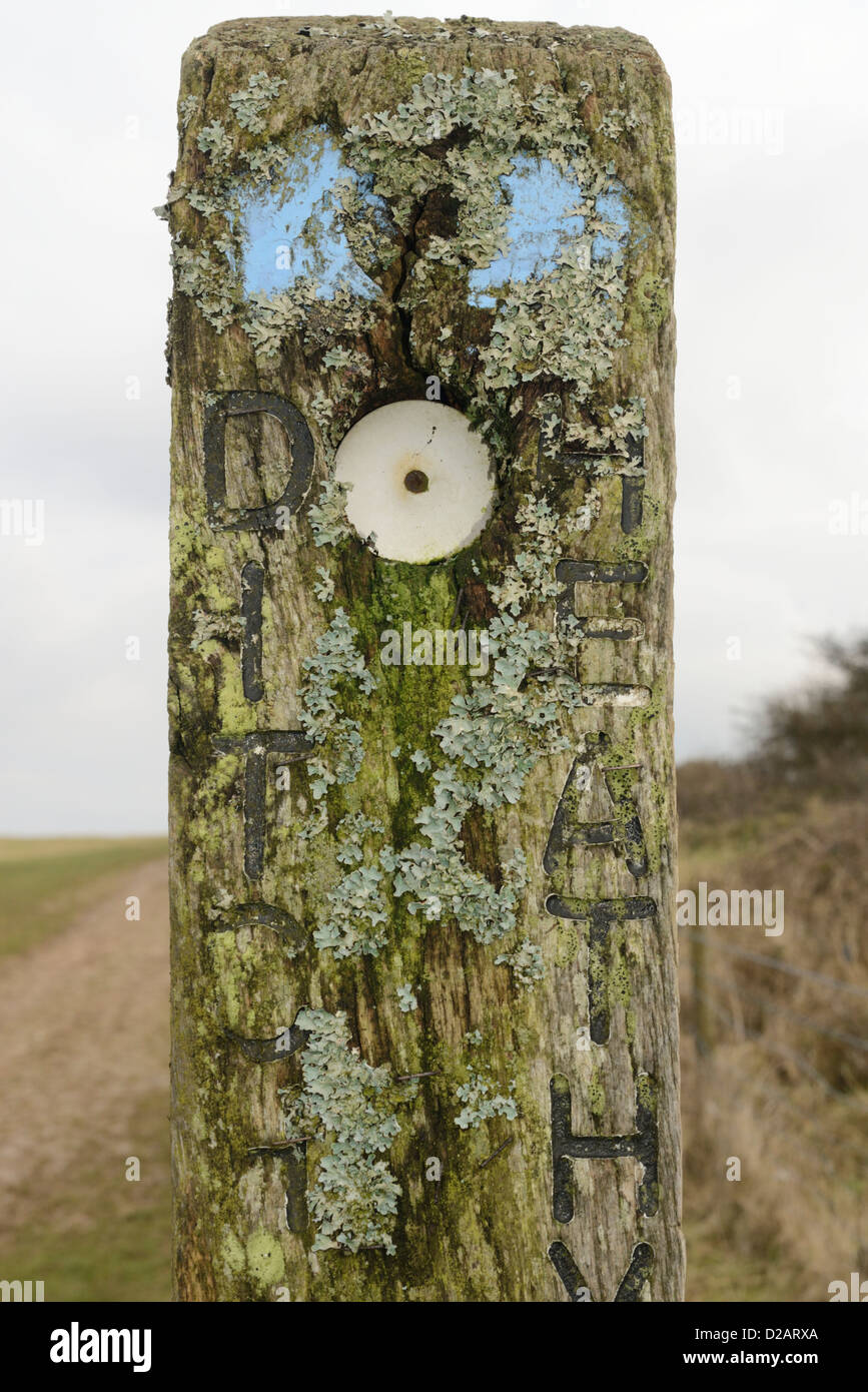 Flechten Sie bedeckten Wegweiser auf der South Downs Way bei Ditchling Beacon Stockfoto