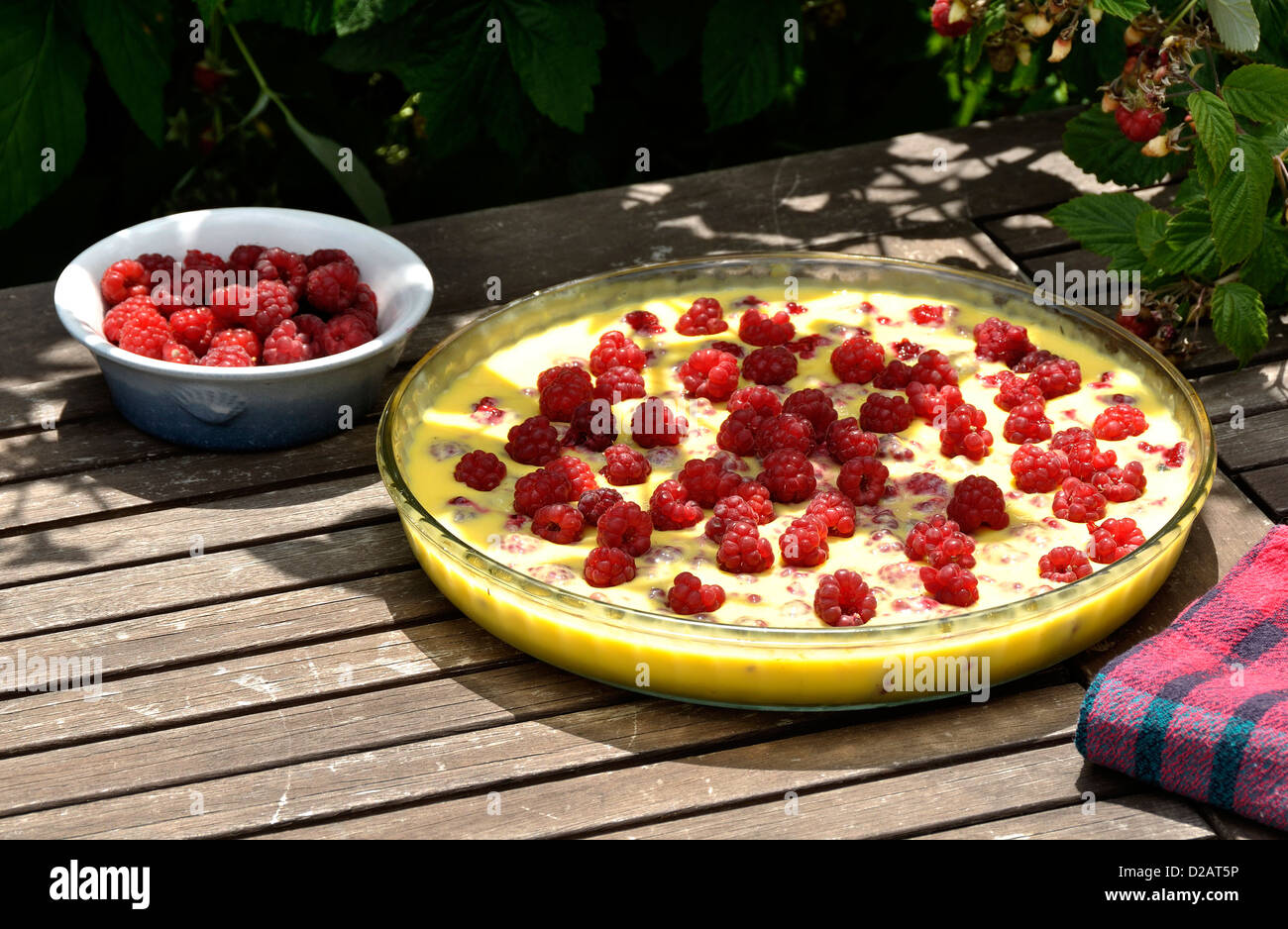 Ein Dessert (Pudding Gießen) auf dem Tisch des Gartens mit Himbeeren (Rubus Idaeus). Stockfoto