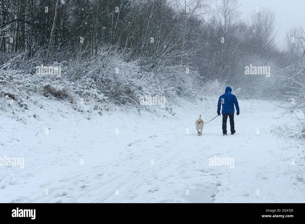 Ein Mann geht seinen Hund auf einer Schnee bedeckten Fußweg Stockfoto