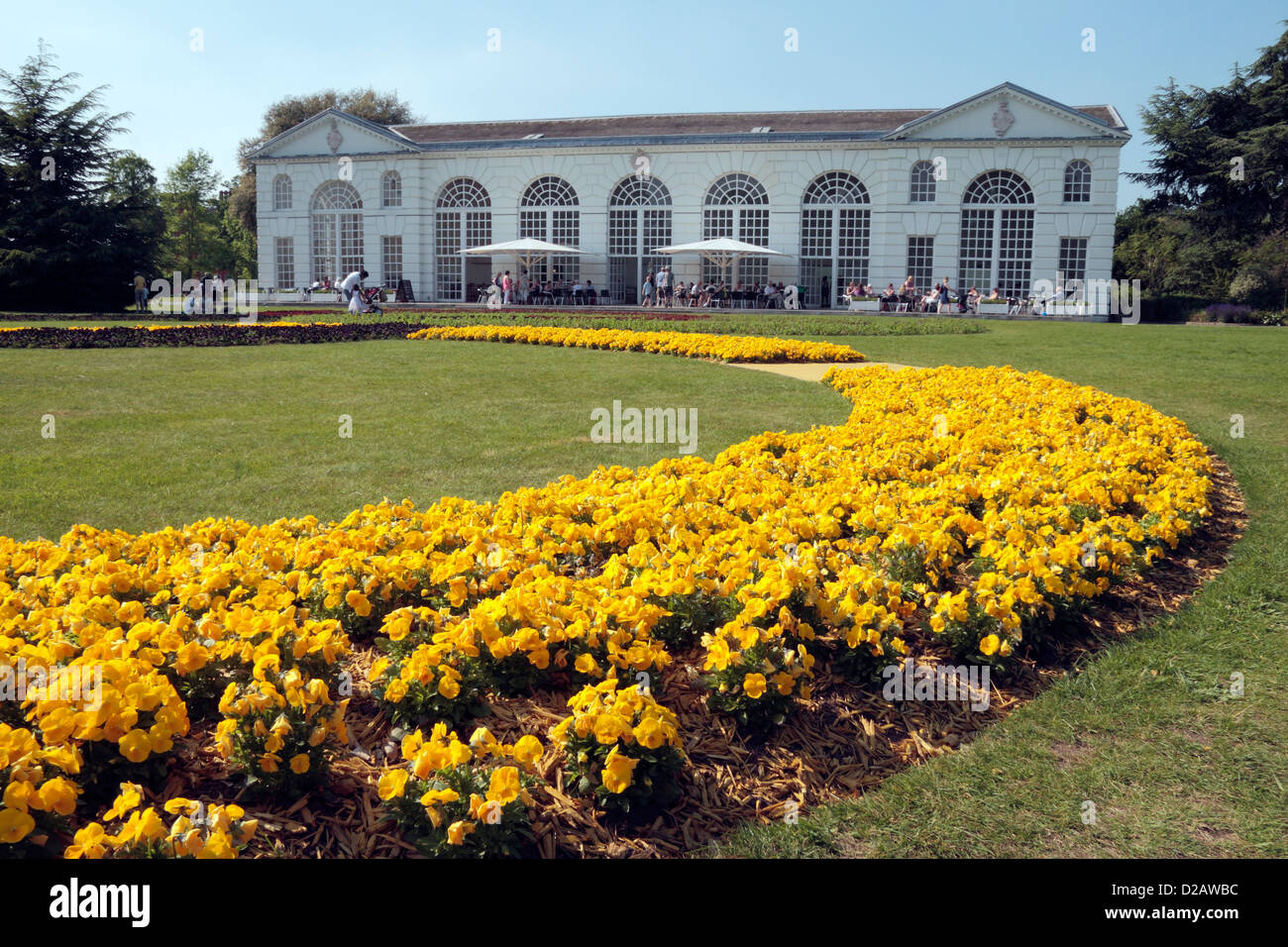 Blumen in der Form der Olympischen Ringe außerhalb der Orangerie