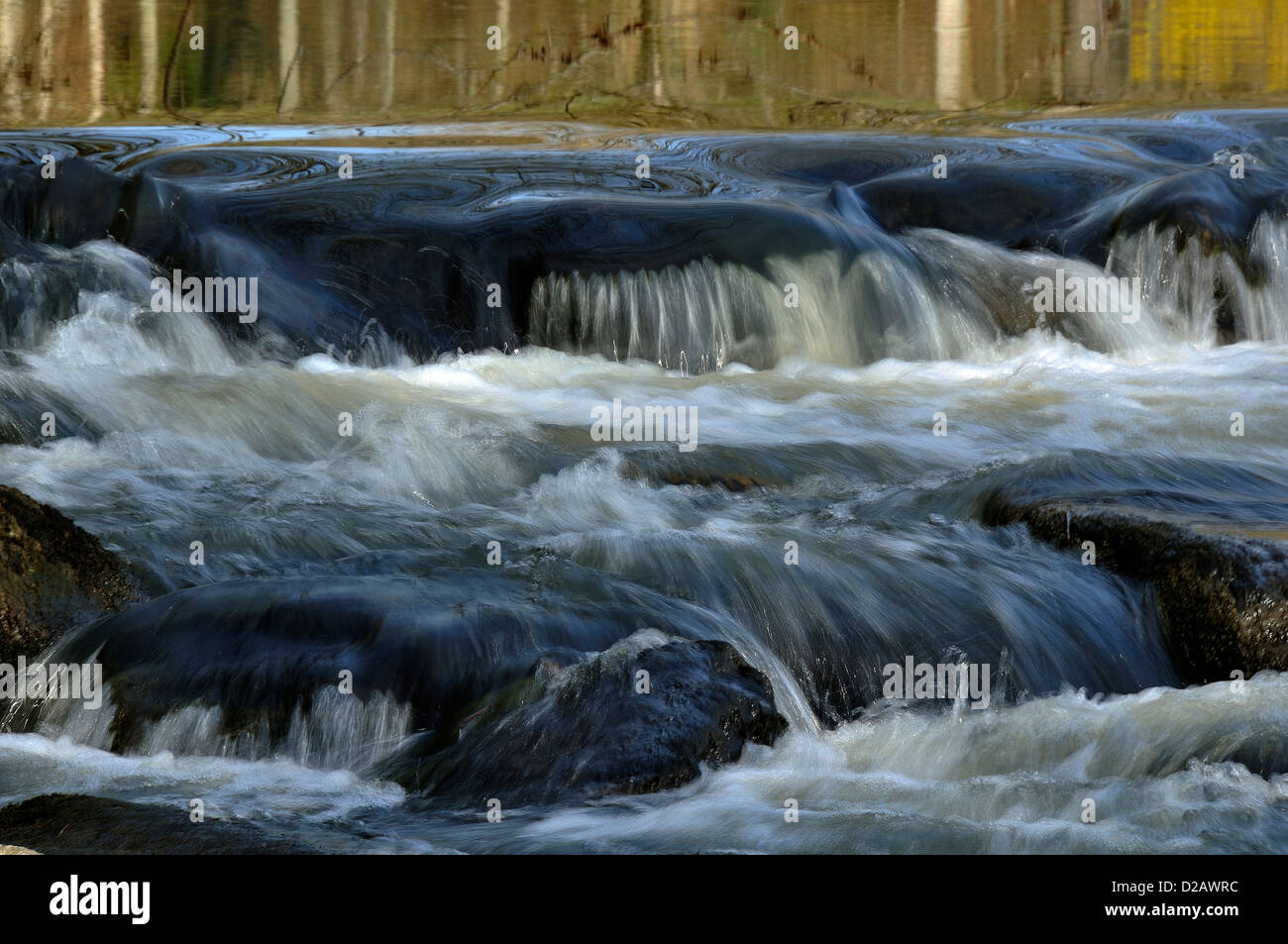 Einen kleinen Damm am Fluss Varenne, im März (Orne, Normandie, Park Normandie-Maine, Frankreich). Stockfoto