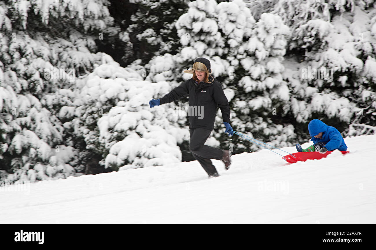 Man zieht ein Kind auf einem Schlitten in einem öffentlichen Park, nach starker Schneefall lokalen Schulen, Abergavenny, Wales, UK geschlossen Stockfoto