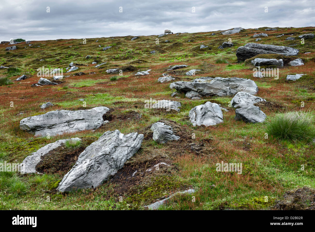 North York Moors im Frühjahr in der Nähe von Goathland, North Yorkshire, UK. Die Gesteine stammen aus der Jurazeit geologische. Stockfoto