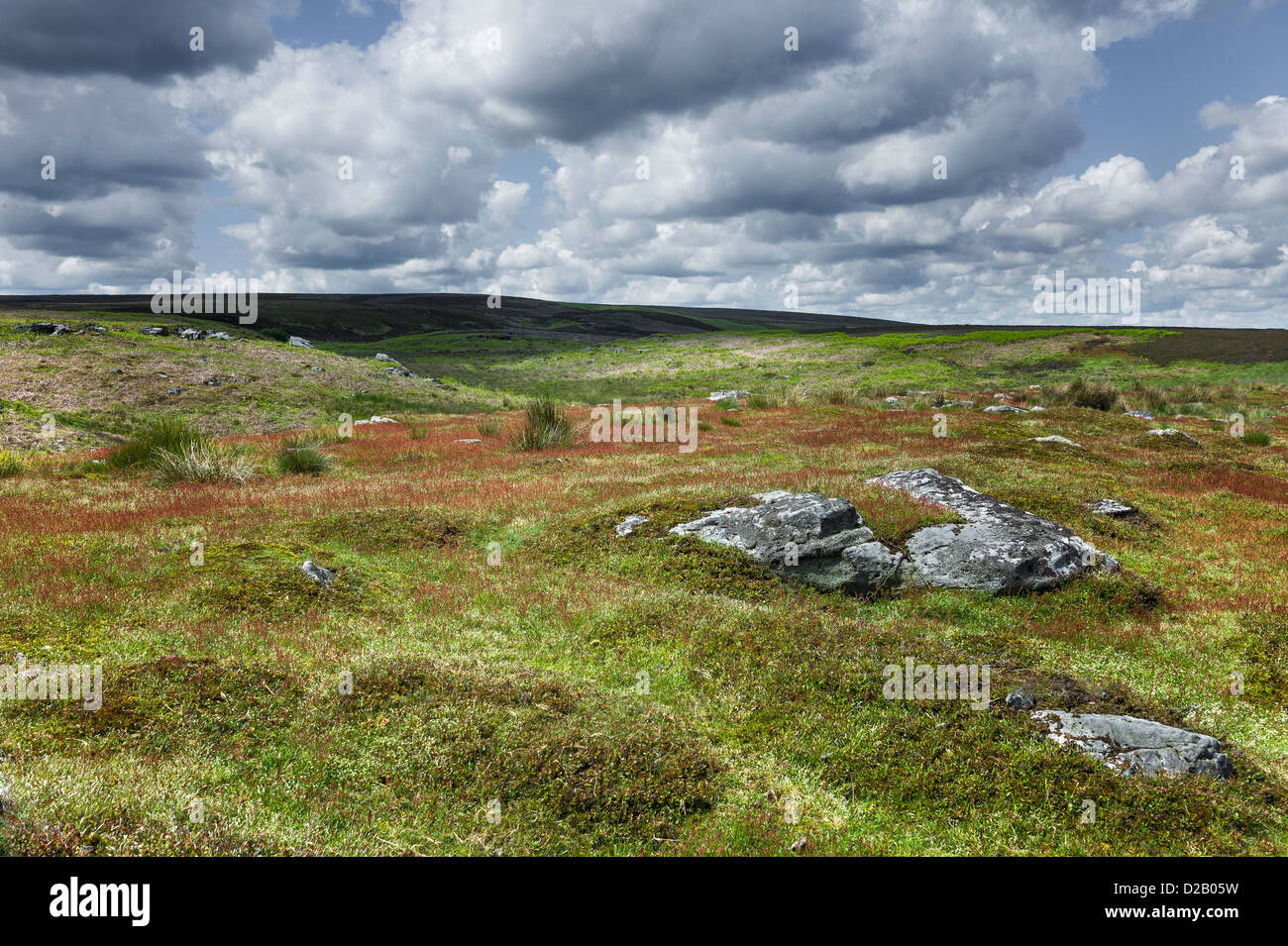 North York Moors im Frühjahr in der Nähe von Goathland, North Yorkshire, UK. Die Gesteine stammen aus der Jurazeit geologische. Stockfoto
