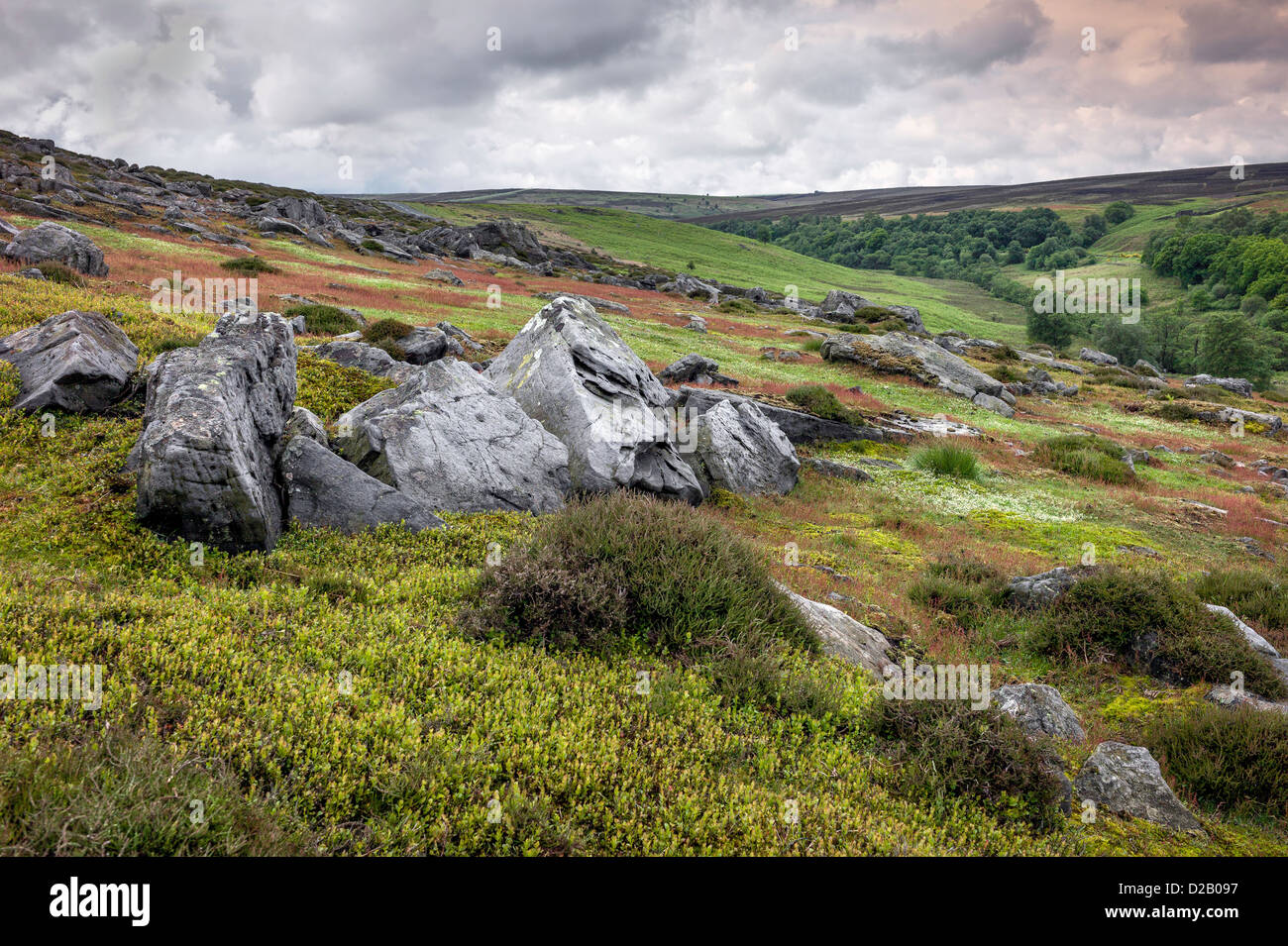 North York Moors im Frühjahr in der Nähe von Goathland, North Yorkshire, UK. Die Gesteine stammen aus der Jurazeit geologische. Stockfoto