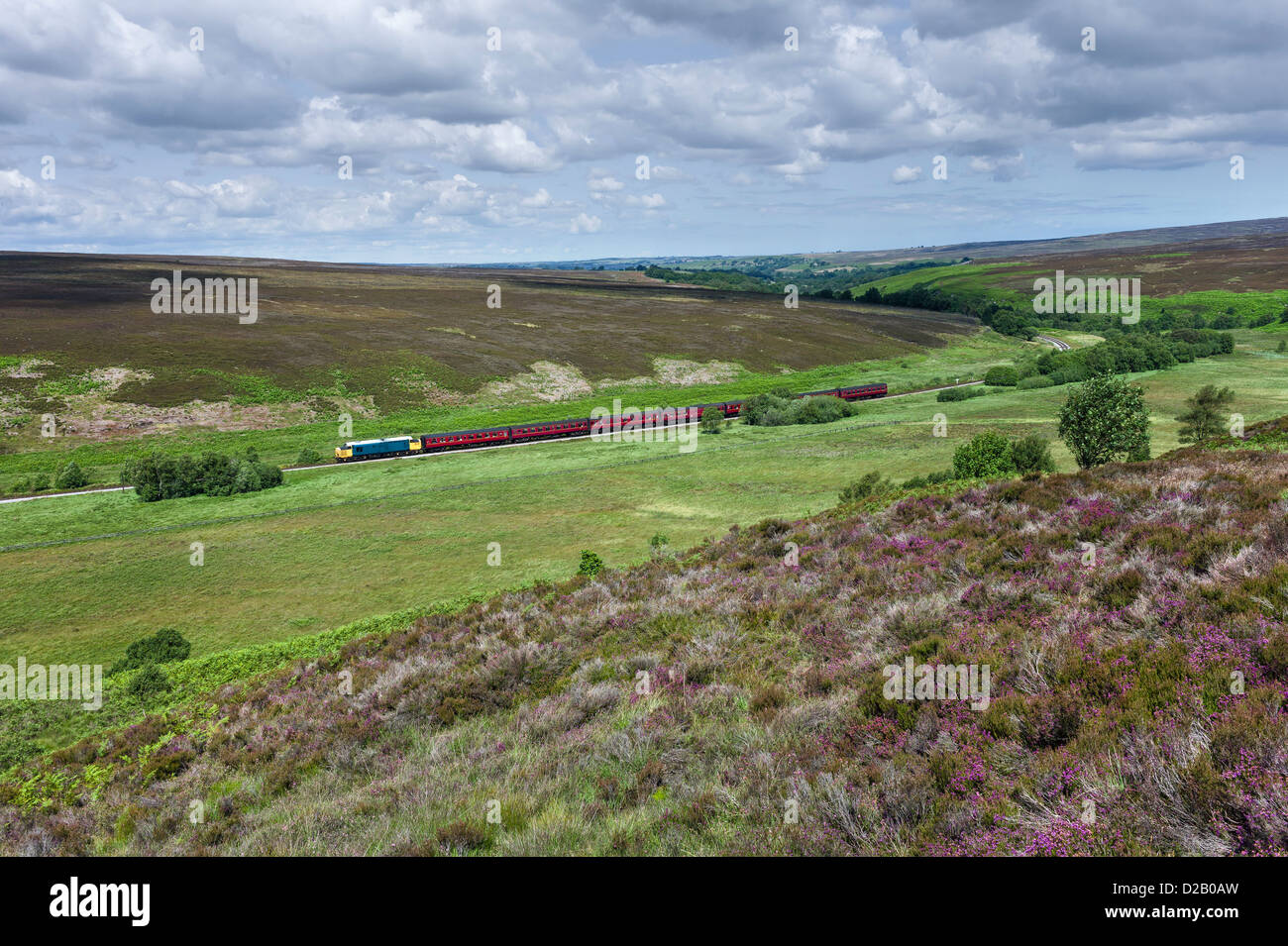 Vintage Diesel-Zug in die North York Moors in der Nähe von Goathland, Yorkshire, Großbritannien. Das Heidekraut ist in voller Blüte. Stockfoto