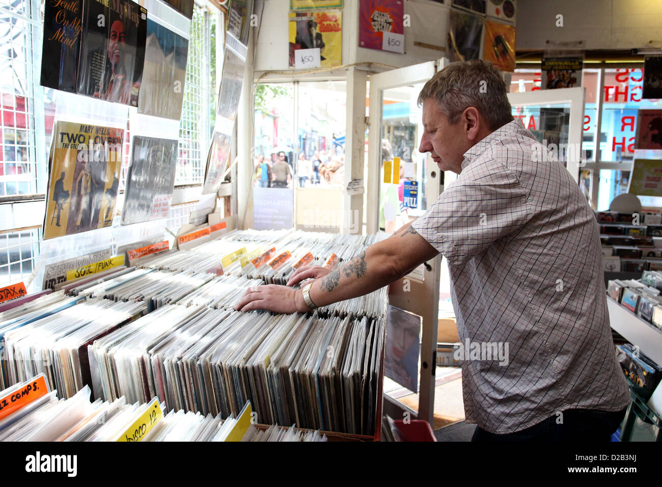 Mann sucht durch eine große Schachtel mit LP in einem Plattenladen in Brighton, East Sussex, UK. Stockfoto