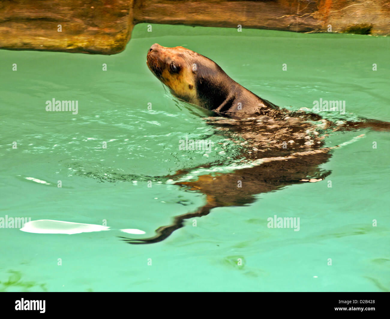 -Schönbrunner Tiergarten-Wien (Österreich). Stockfoto