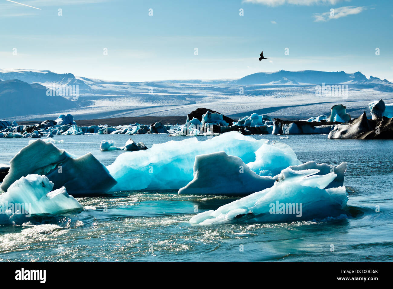 Arktischen Seeschwalbe fliegt über Eisberge schwimmen in Gletscherlagune Jökulsárlón, Island Stockfoto