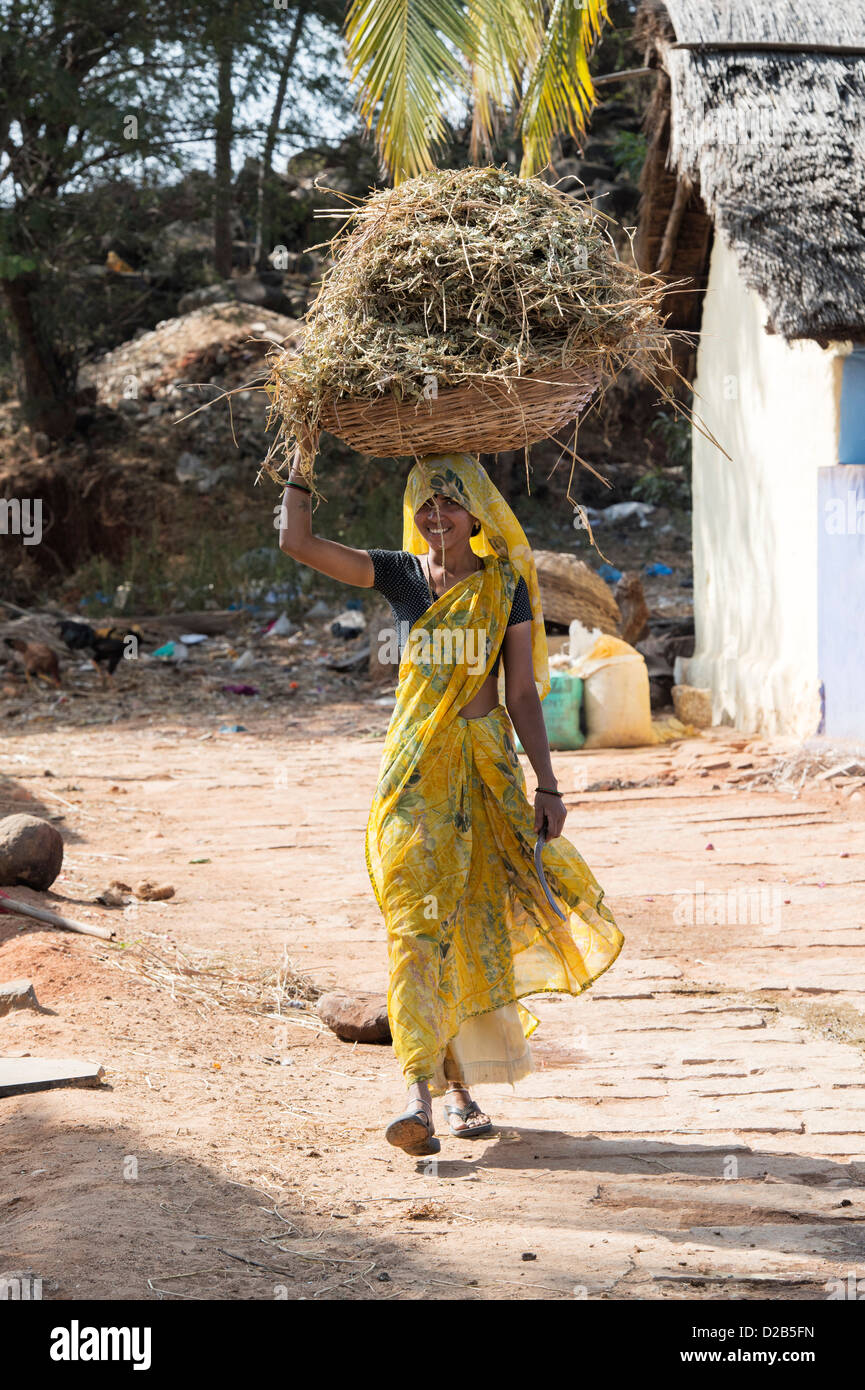 Indische Dorf Frau, die schneiden Vegetation für das Vieh Futter in einem Korb auf dem Kopf. Andhra Pradesh, Indien Stockfoto