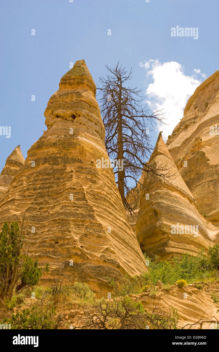 Kasha-Katuwe Zelt Felsen Nationaldenkmal New mexico wurde 17. Januar 2001 National Monument ernannt kegelförmige Zelt Rock Stockfoto