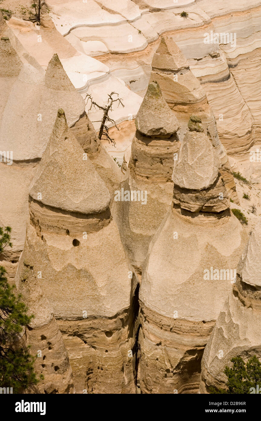 Kasha-Katuwe Zelt Felsen Nationaldenkmal New mexico wurde 17. Januar 2001 National Monument ernannt kegelförmige Zelt Rock Stockfoto
