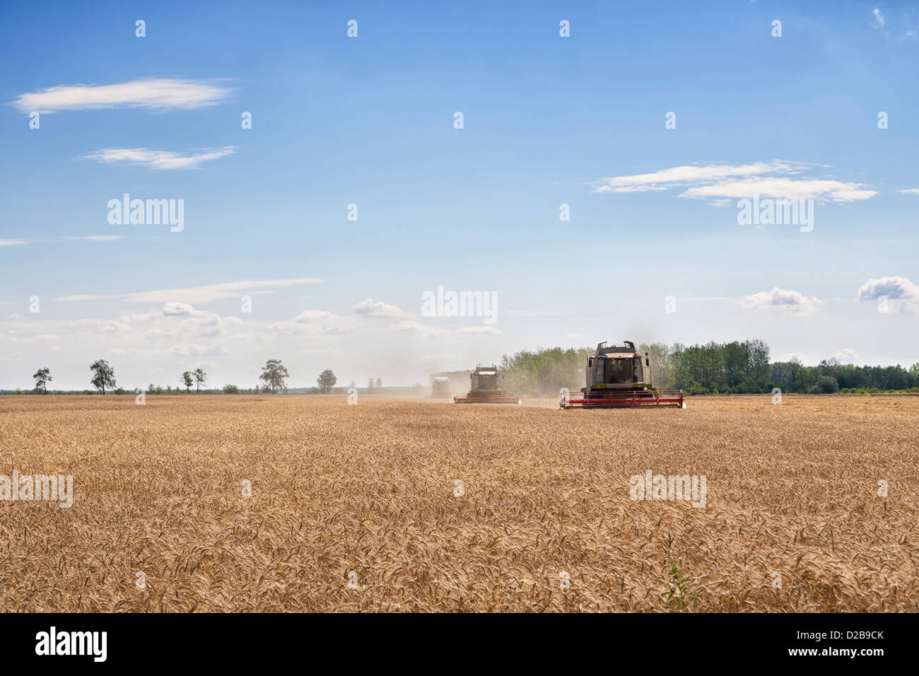 Drei Mähdrescherentwicklung aus Weizen oder Gerste Feld sammeln Stockfoto