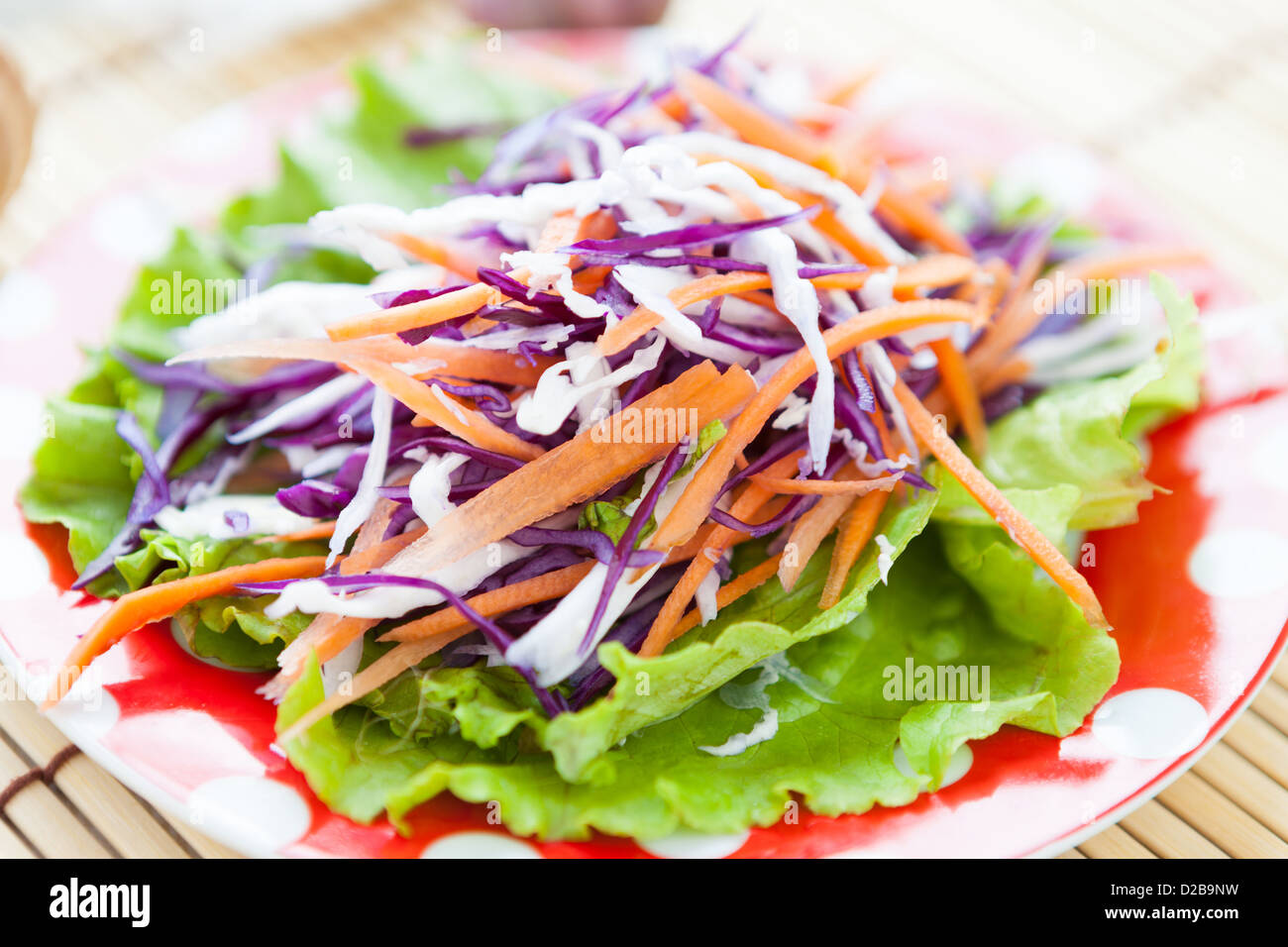 Kohl-Karotten-Salat und Kopfsalat, Nahaufnahme Stockfoto