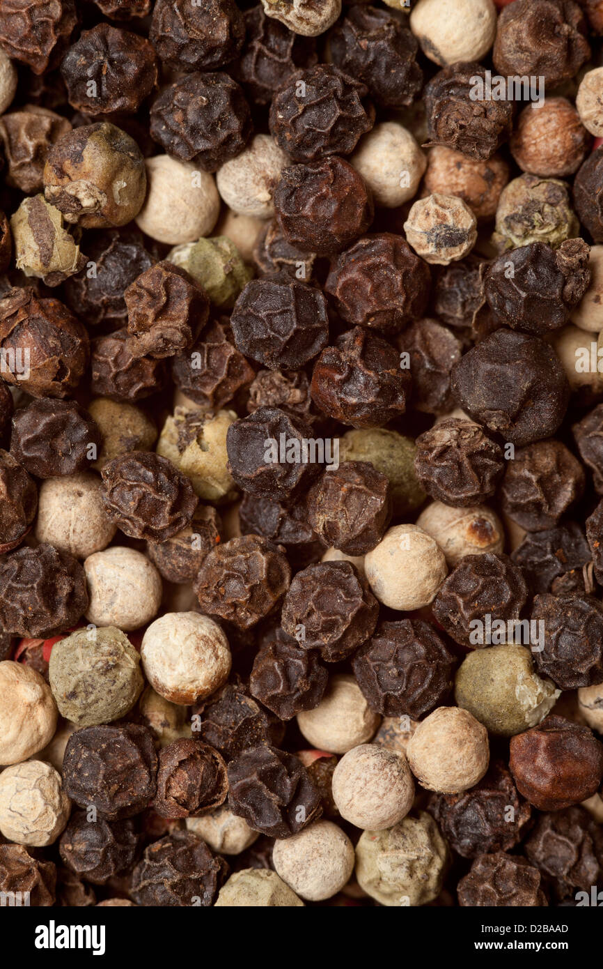 schwarzer Pfeffer Samen Hintergrund oder als Gewürz Textur Stockfoto