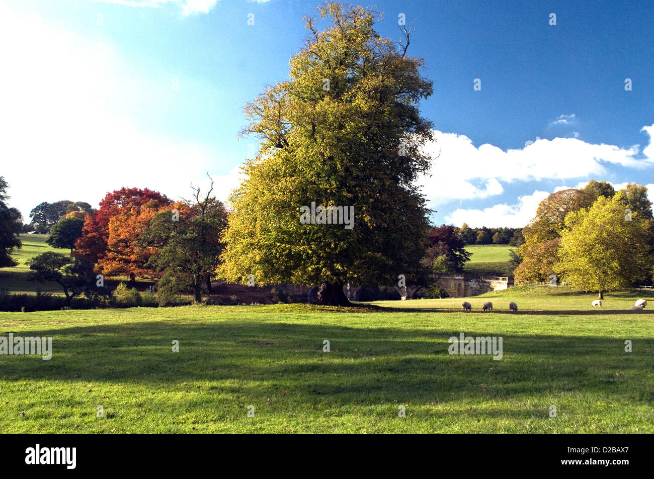 Farben des Herbstes Stockfoto