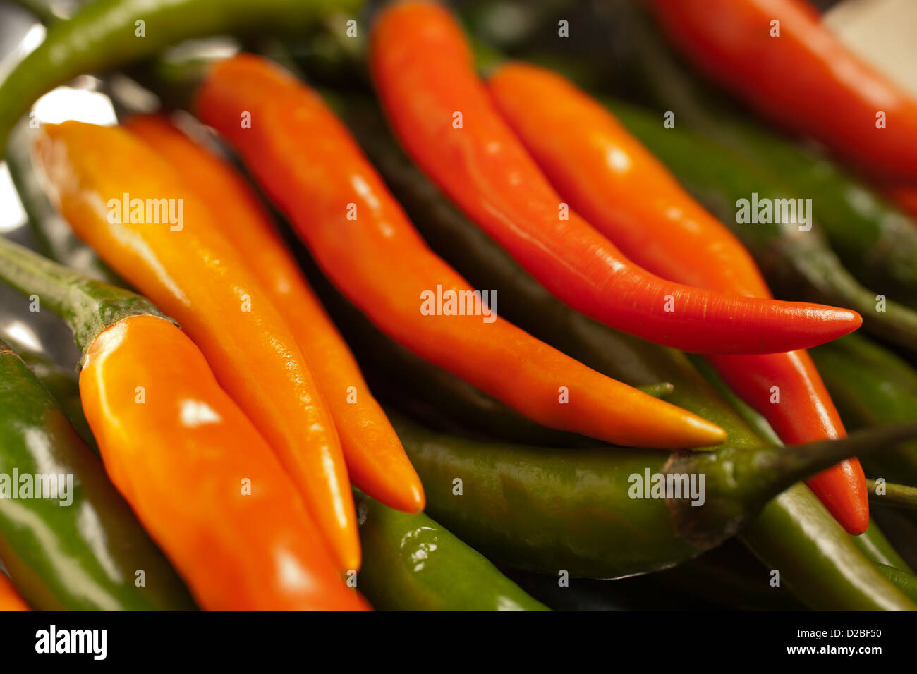 Thai Peperoni Stockfoto