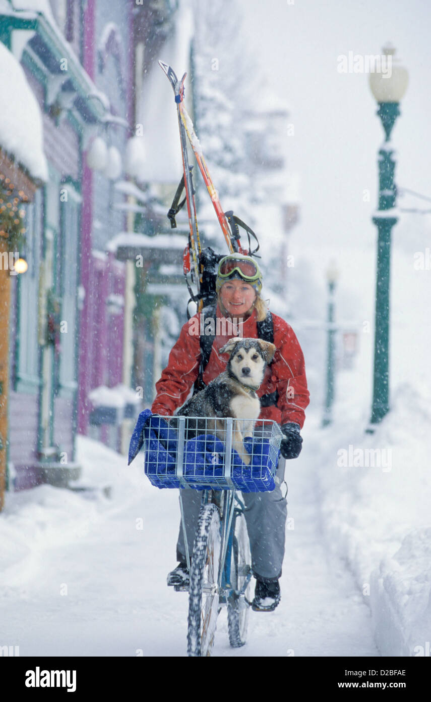 Colorado. Crested Butte. Frau auf dem Fahrrad mit Welpen. Stockfoto