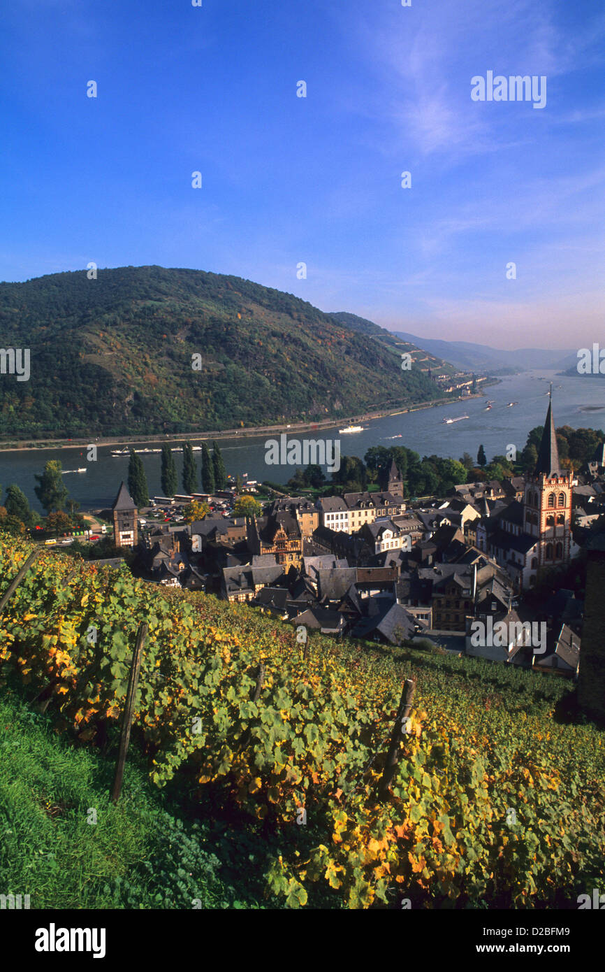 Deutschland, Bacharach. Weinberge am Rhein. Stockfoto