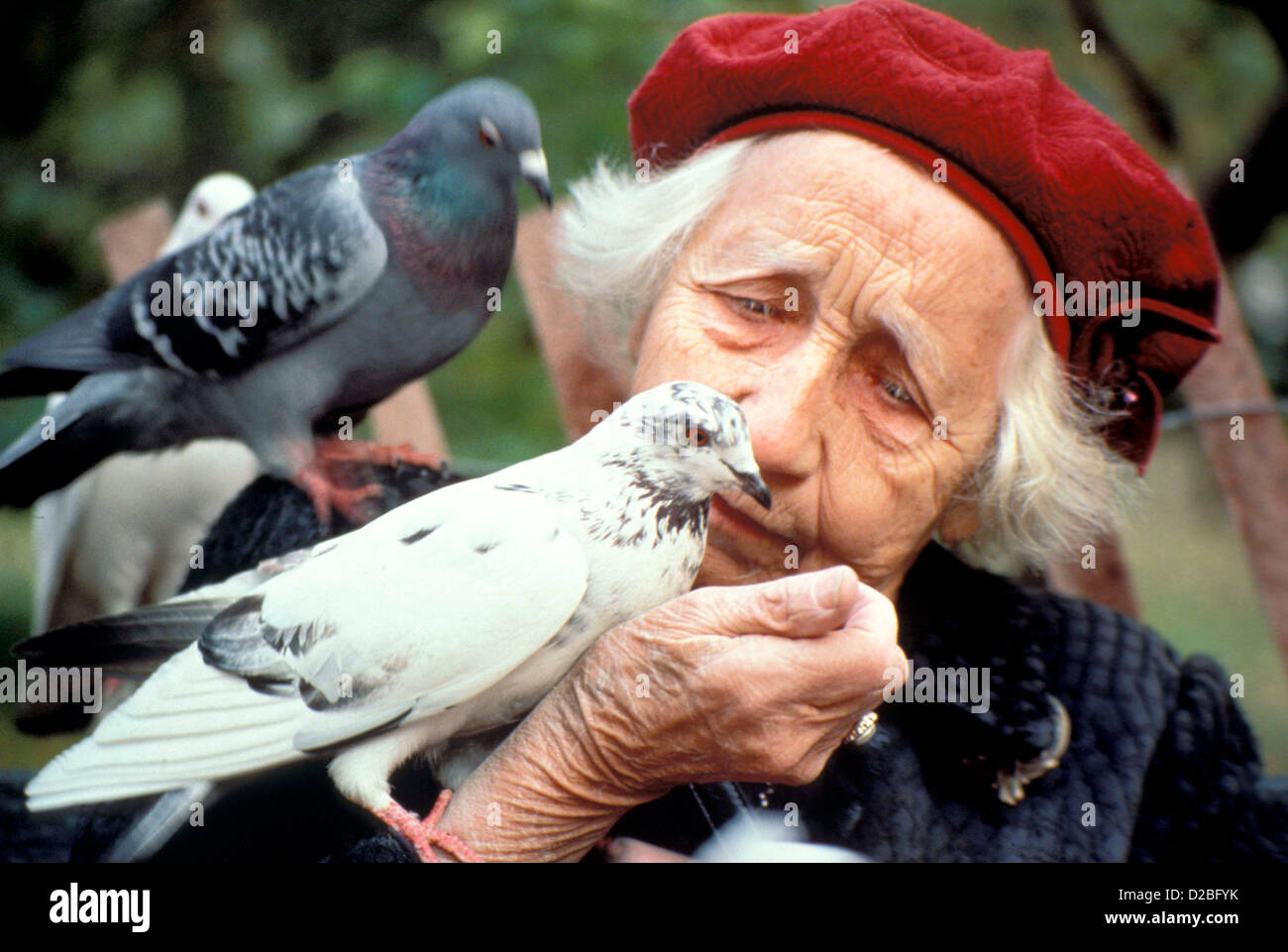 Ältere Frau füttern Tauben, Nahaufnahme Stockfoto Ältere Frau füttern Tauben, Nahaufnahme Stockfoto
