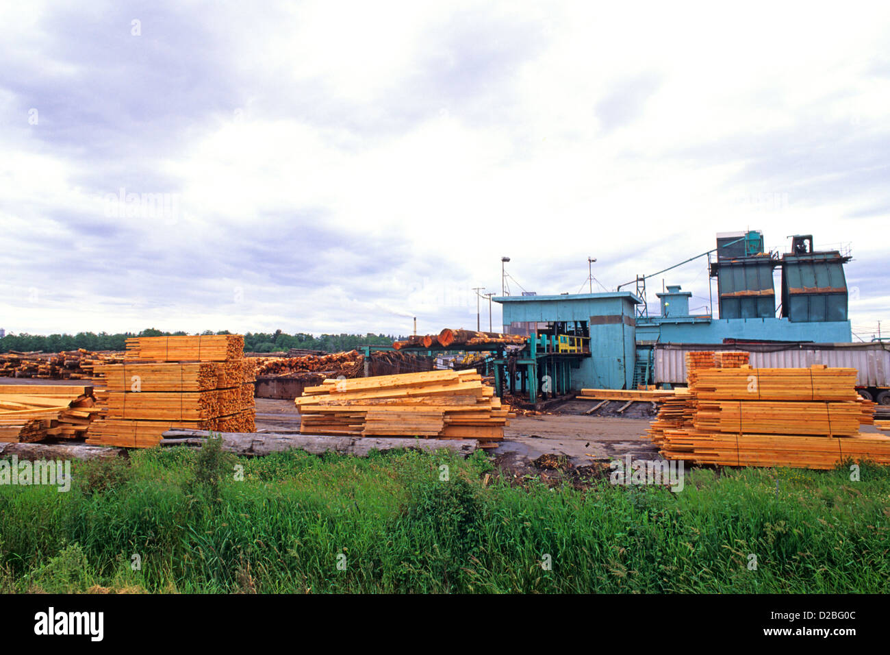 Washington State, Sägewerk. Stockfoto