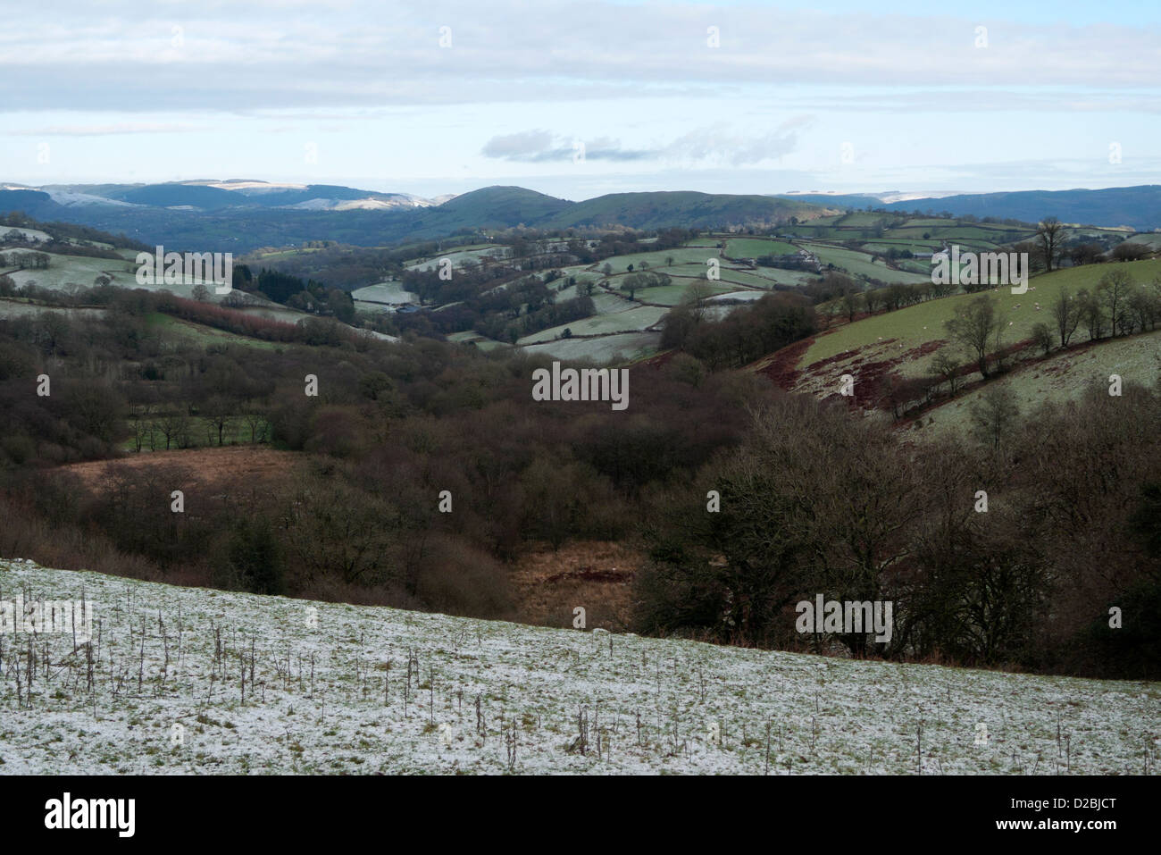 Eine bewaldete hügelige Schneelandschaft an einem frostigen Wintermorgen Carmarthenshire West Wales, UK Stockfoto