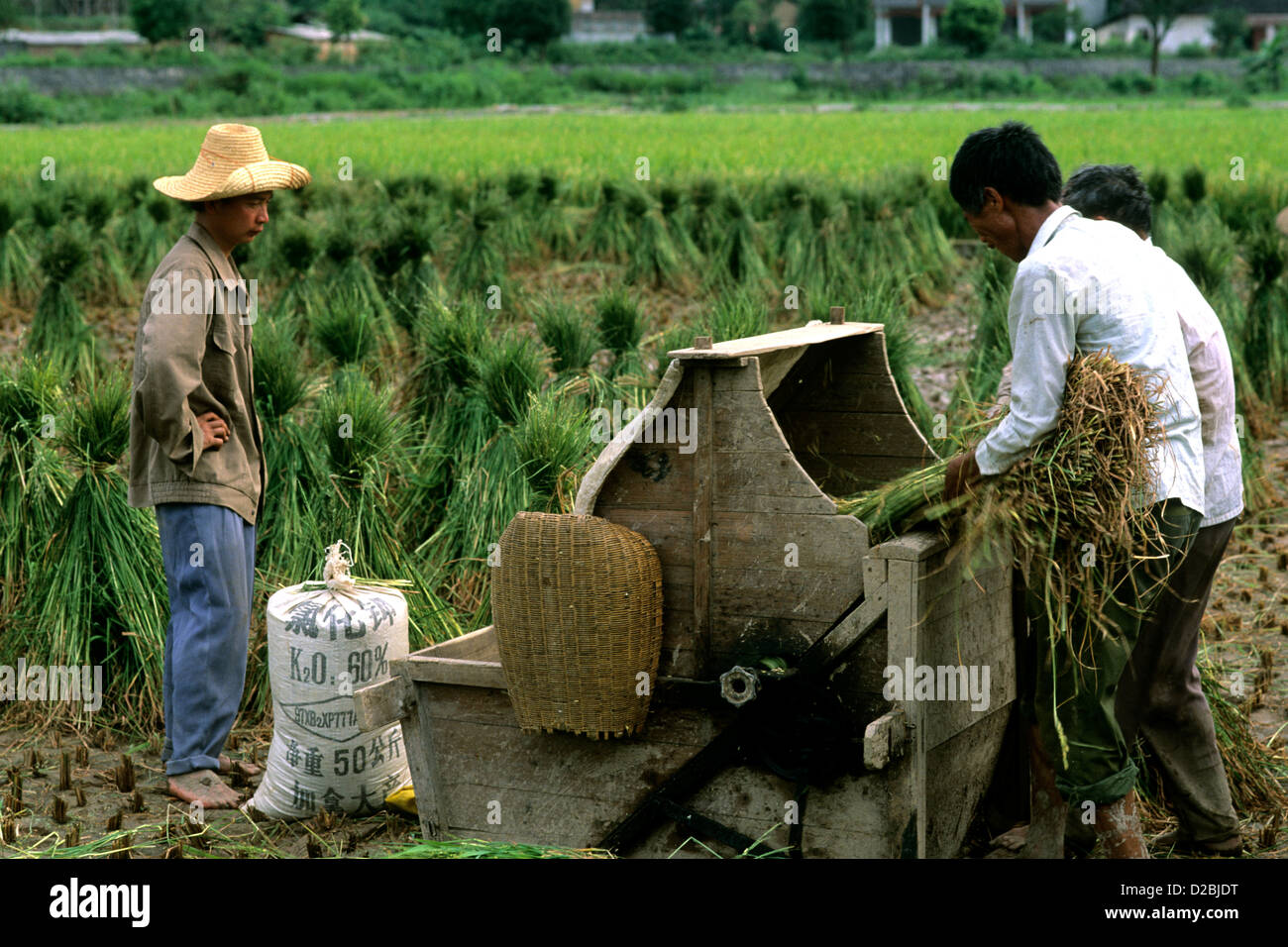 China, Guilin. Landwirte mit Reis-Dreschmaschine Stockfoto