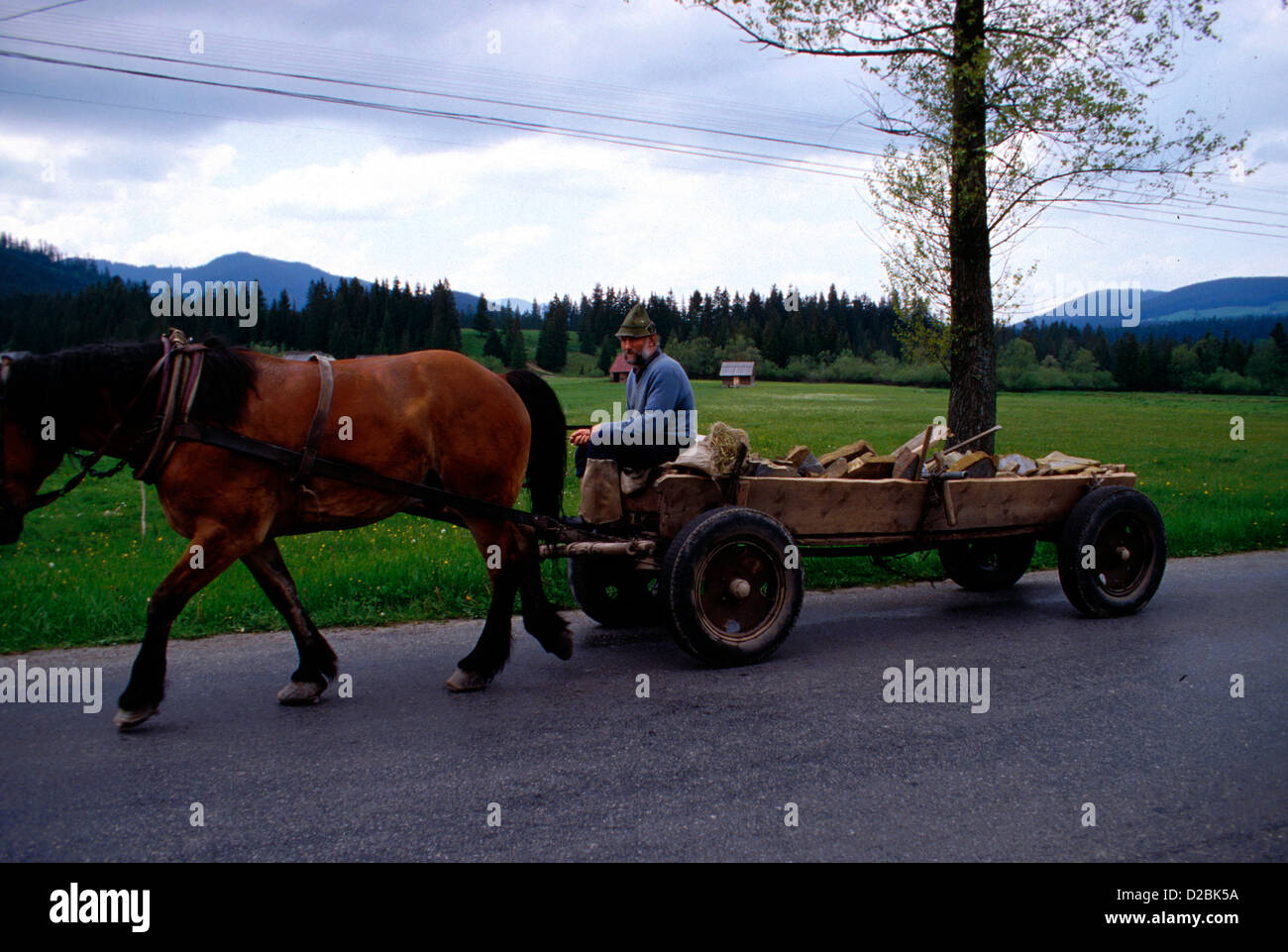 Polen, Zakopane Region, Pferd und Wagen Stockfoto