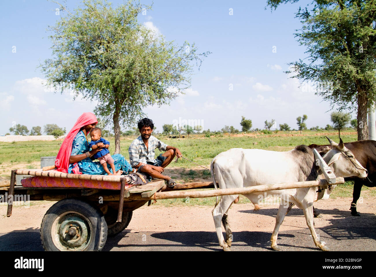 Roma-Familie geht durch mit Kuh angetrieben Wagen zu suchen Land am großen indischen Wüste Thar In Jodhpur Rajasthan Indien Stockfoto