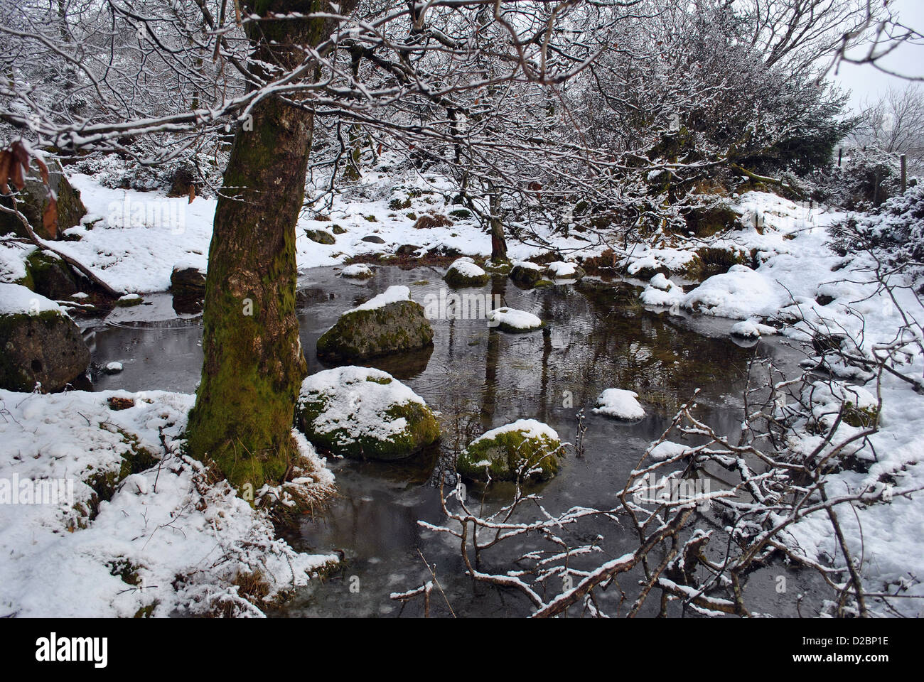 Winter-Schnee-Szene Stockfoto