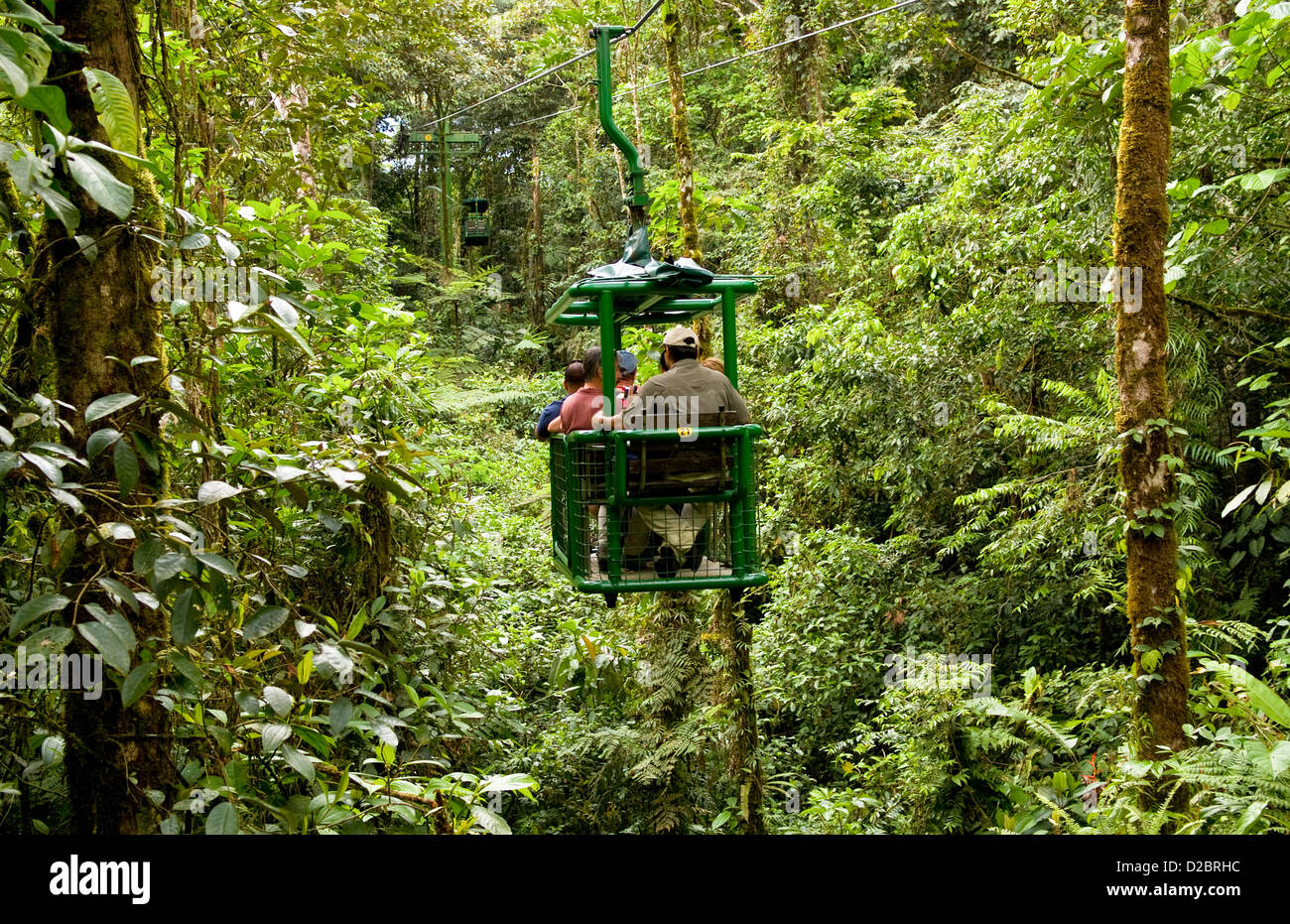 Straßenbahn Fahrt über Oberseite des Regenwaldes im Parque Nacional Braulio Carrillo In Costa Rica Stockfoto