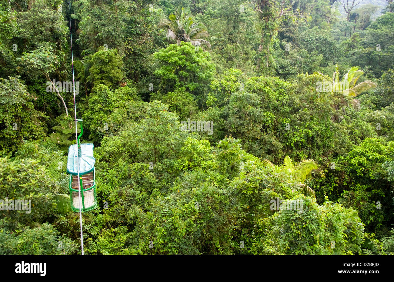 Straßenbahn Fahrt über Oberseite des Regenwaldes im Parque Nacional Braulio Carrillo In Costa Rica Stockfoto