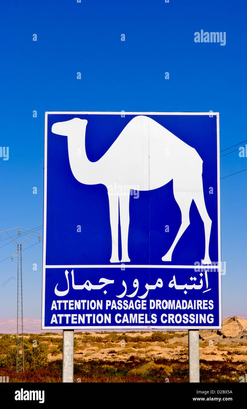Zeichen für Kamel Überfahrt In Sahara Wüste in der Nähe von Tozeur, Tunesien Stockfoto Zeichen für Kamel Überfahrt In Sahara Wüste in der Nähe von Tozeur, Tunesien Stockfoto