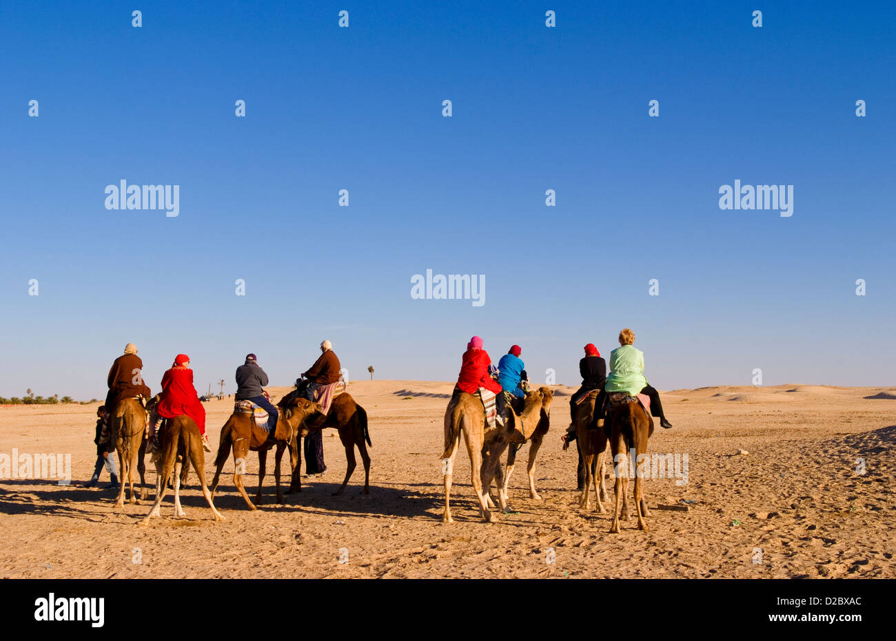 Touristen auf Kamel reiten, Douz, Sahara Wüste, Tunesien Stockfoto Touristen auf Kamel reiten, Douz, Sahara Wüste, Tunesien Stockfoto