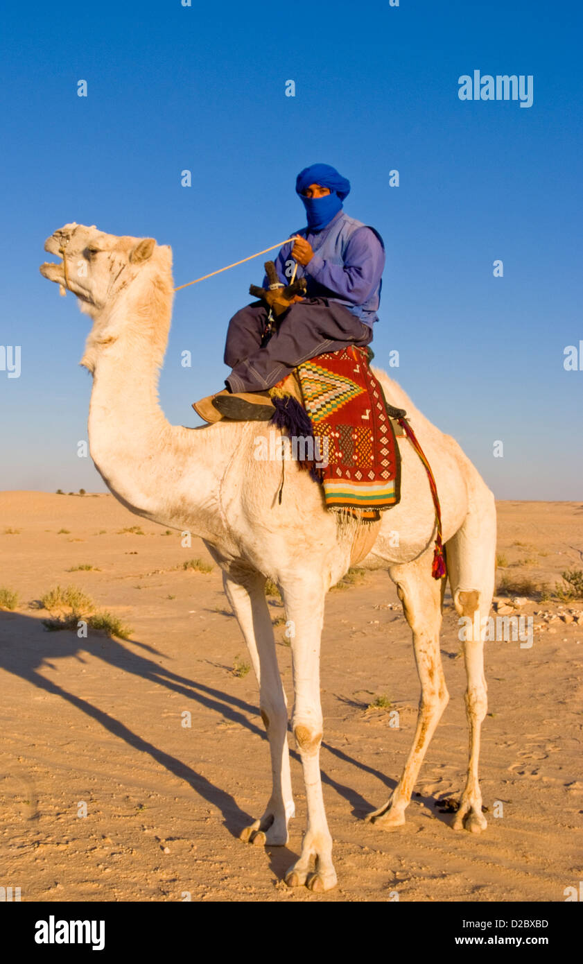 Beduinen Mann auf Kamel reiten, Douz, Sahara Wüste, Tunesien Stockfoto Beduinen Mann auf Kamel reiten, Douz, Sahara Wüste, Tunesien Stockfoto