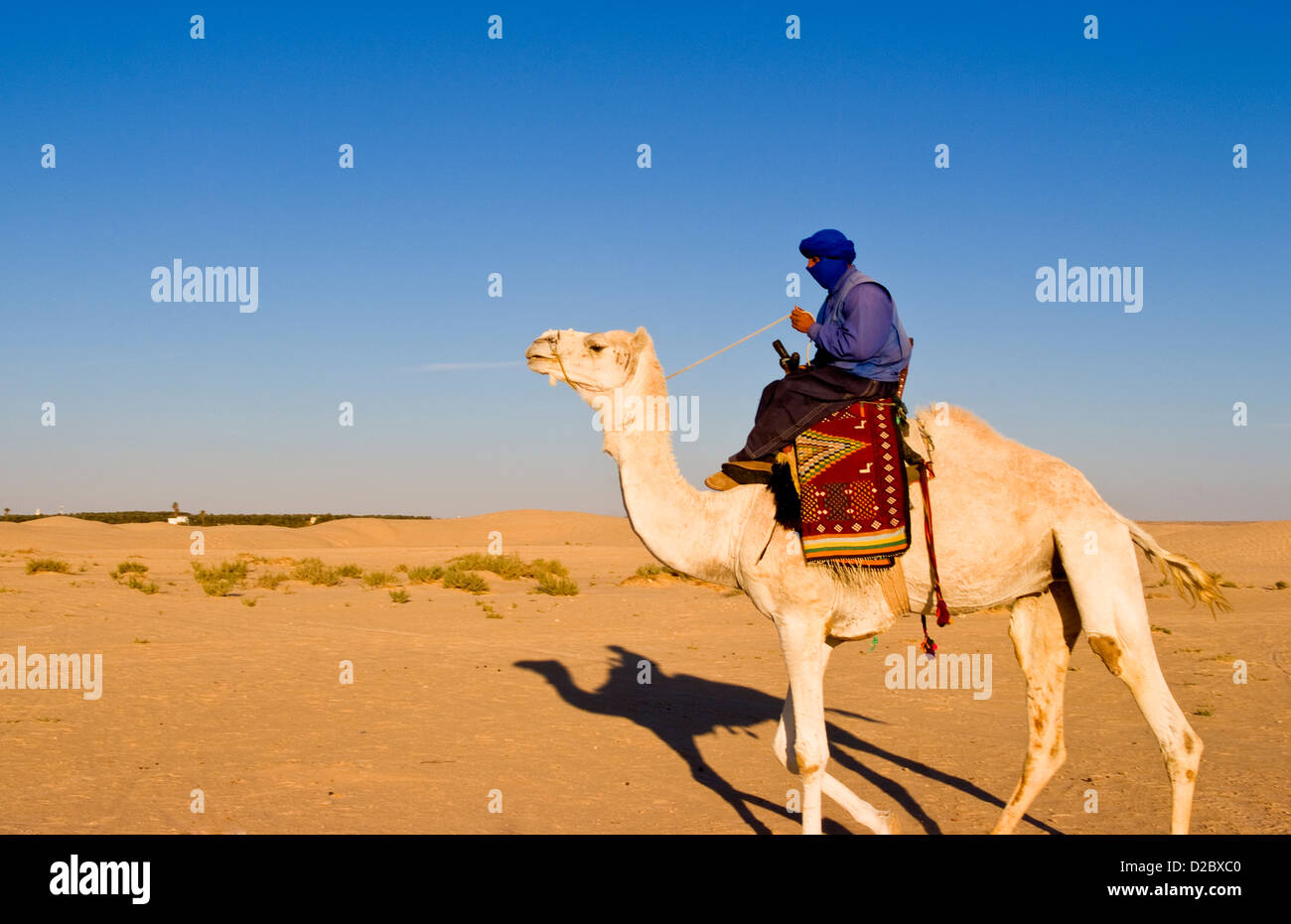 Beduinen Mann auf Kamel reiten, Douz, Sahara Wüste, Tunesien Stockfoto Beduinen Mann auf Kamel reiten, Douz, Sahara Wüste, Tunesien Stockfoto