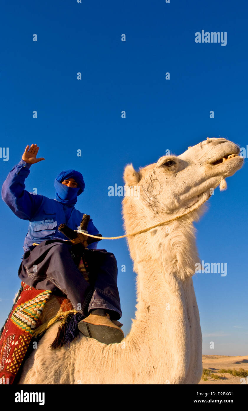 Beduinen Mann auf Kamel reiten, Douz, Sahara Wüste, Tunesien Stockfoto Beduinen Mann auf Kamel reiten, Douz, Sahara Wüste, Tunesien Stockfoto