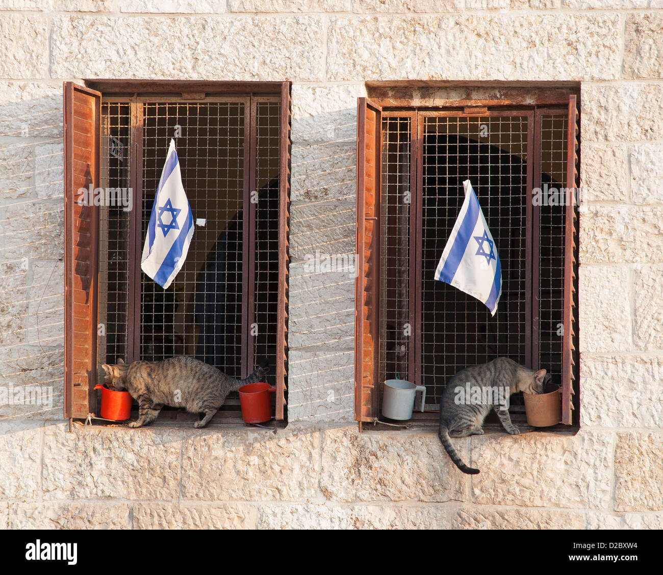 Juden Katzen, Jerusalem Israel Stockfoto