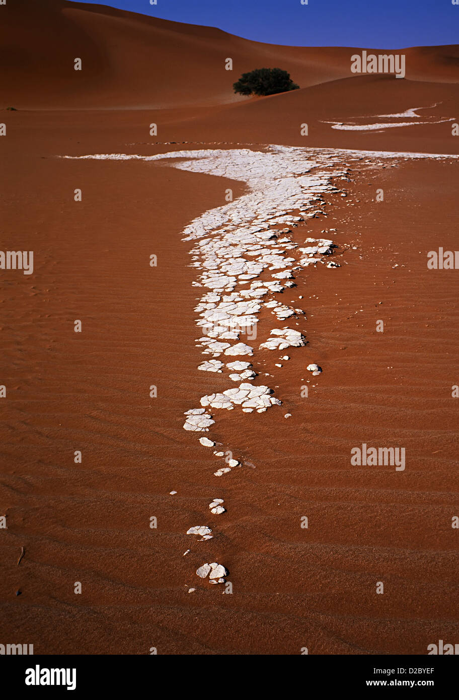 Gebranntem Ton aus Sanddünen der Namib-Wüste, Namibia, Afrika Stockfoto