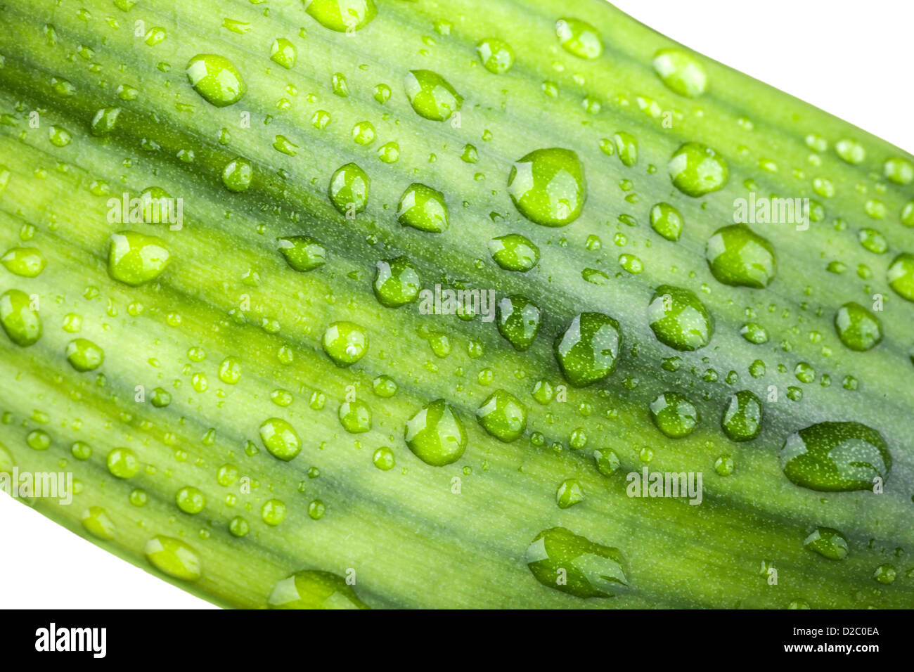 Bambusblatt und Wassertropfen Stockfoto