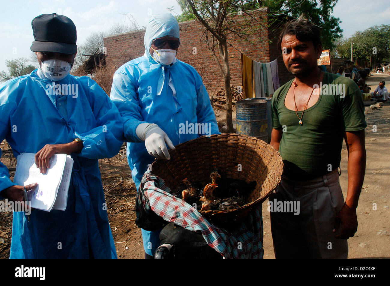 Dorfbewohner mit der Hand über Haushalt Geflügel Gesundheit Regierungsangestellte für Keulung infizierter Hühner im Hinterhof Dorfbewohner Häuser Stockfoto