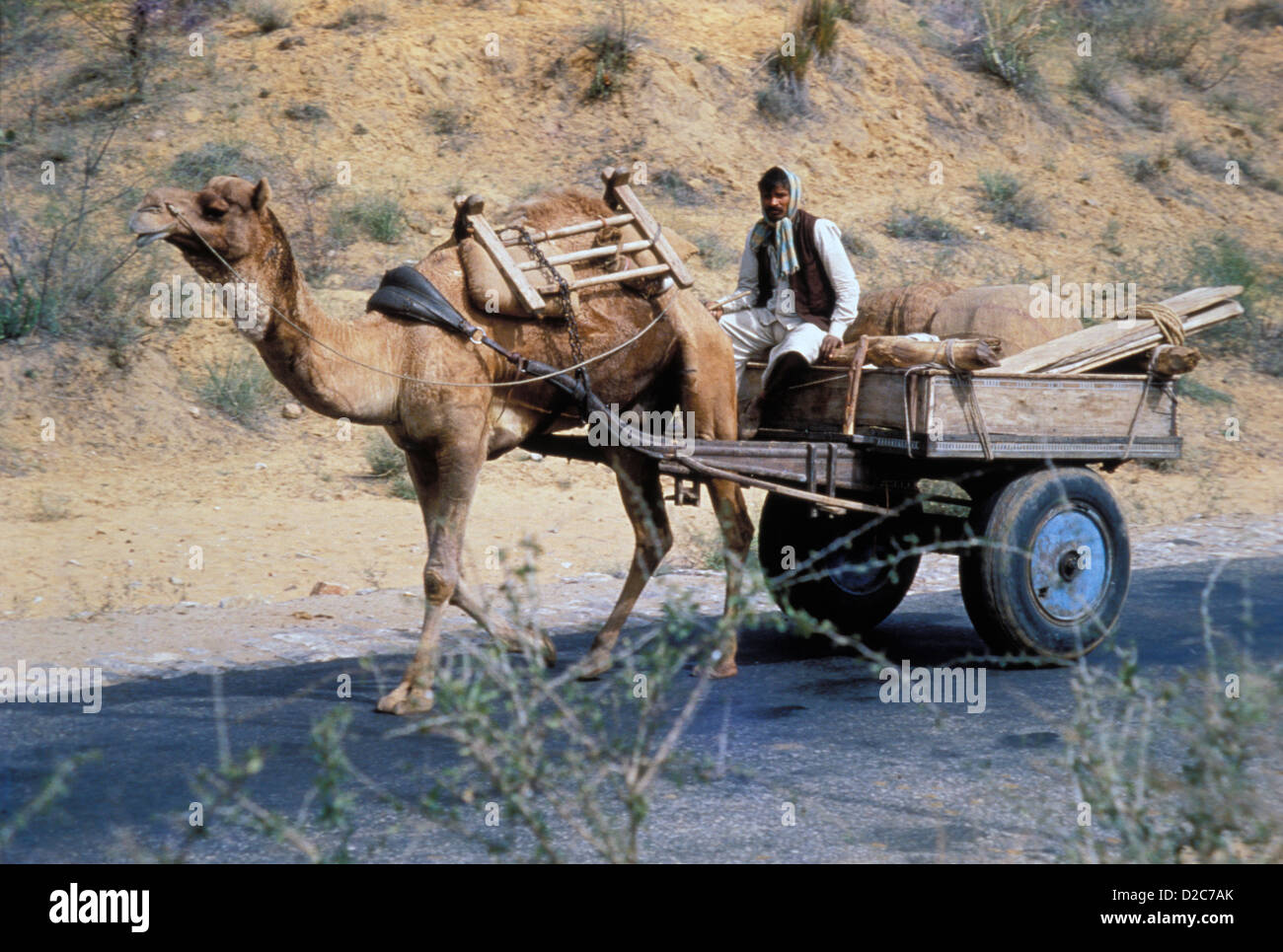Indien. Mann Kamel gezogenen Karren fahren Stockfoto