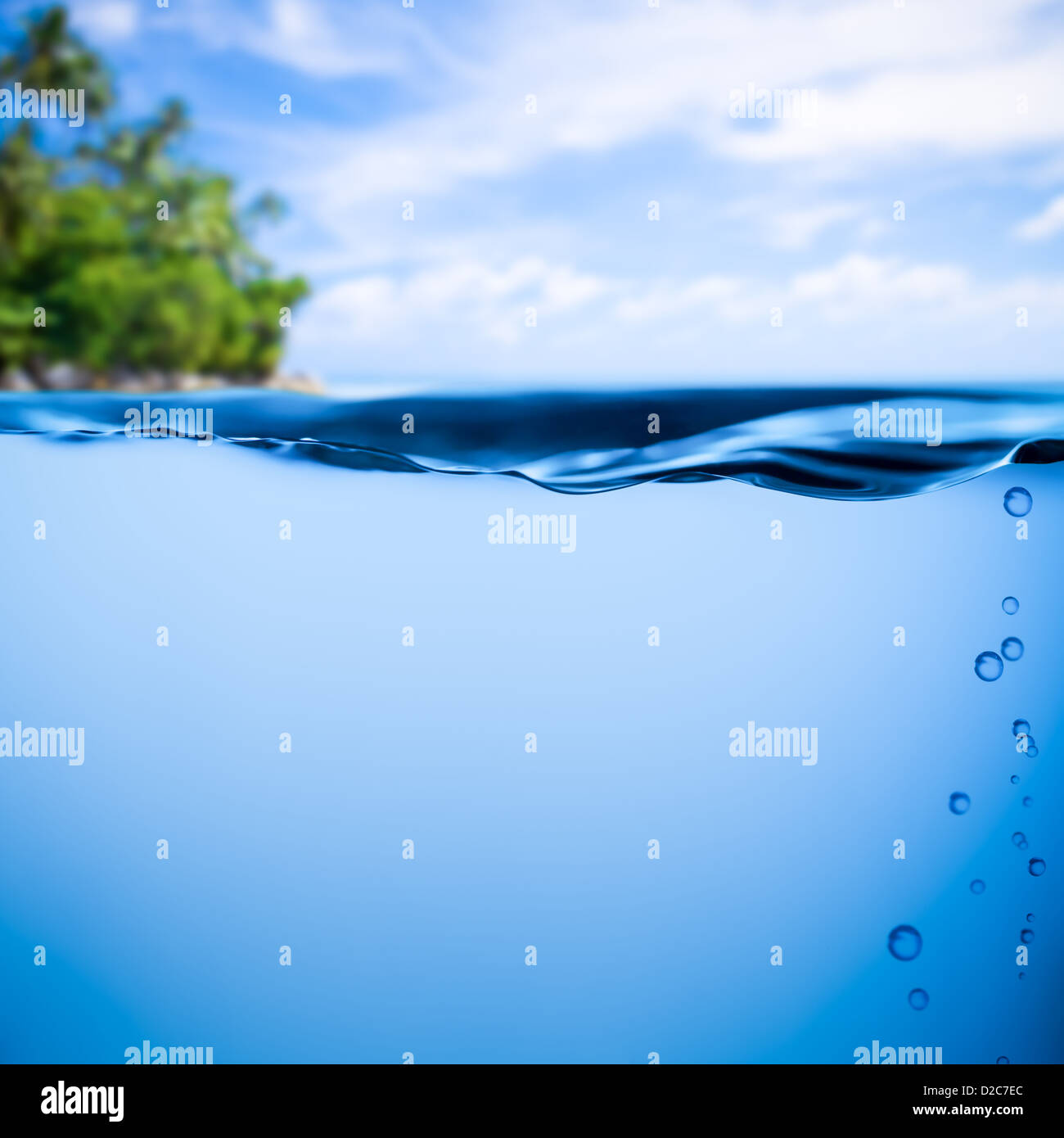 tropischen Meer Unterwasser Hintergrund mit Horizont auf Wasseroberfläche Stockfoto