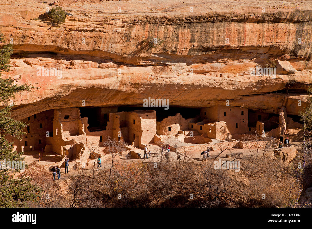 Fichte Baumhaus, Klippe Wohnung der präkolumbianischen Anasazi Indianer und UNESCO-Weltkulturerbe, Mesa Verde Nationalpark USA Stockfoto