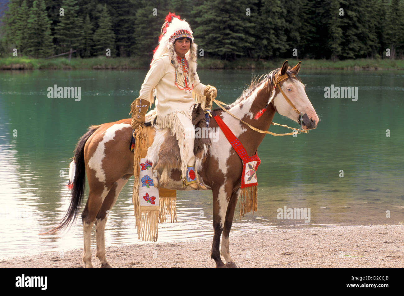 North American Indian Chief auf Pferd Stockfoto