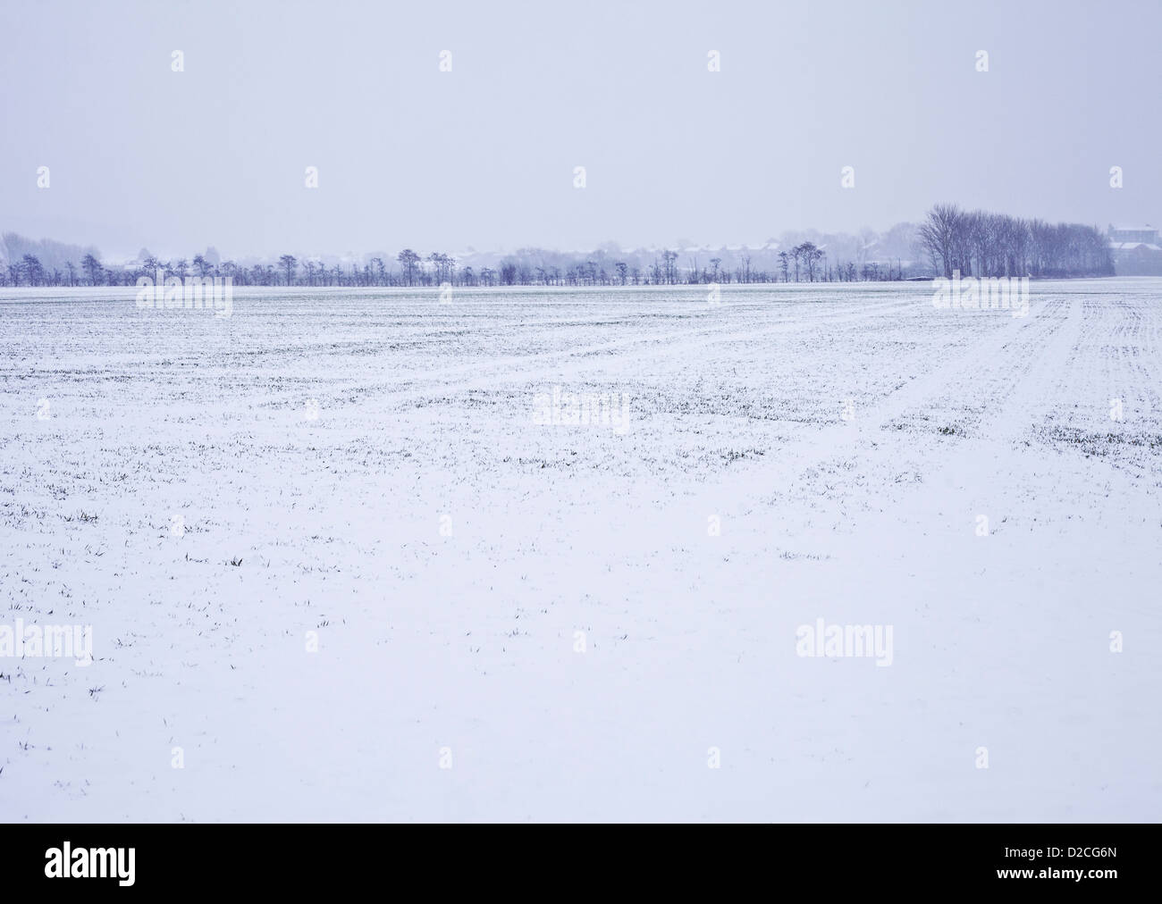 Schneebedecktes Feld Stockfoto