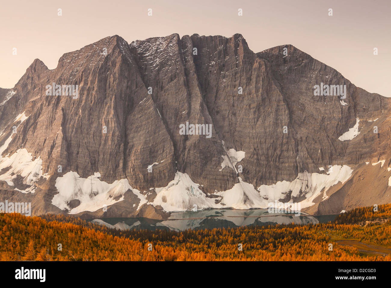 Die Felswand oberhalb Floe Sees und goldenen Lärchen im Herbst, Kootenay National Park, kanadischen Rocky Mountains, British Columbia, Kanada Stockfoto