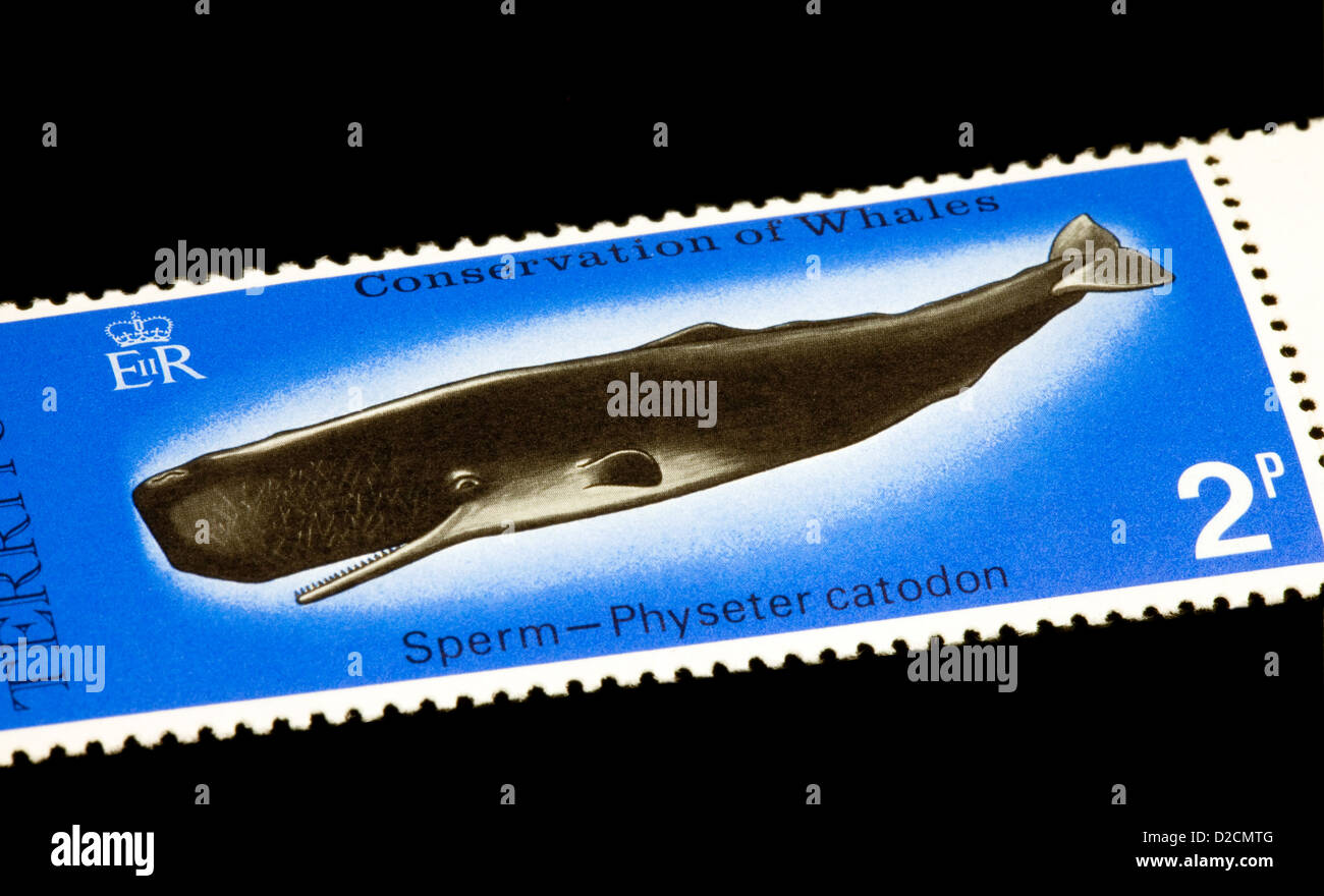 Eine britische Antarktis-Territorium Stempel mit einem Pottwal für die Erhaltung der Wale in der Antarktis Stockfoto