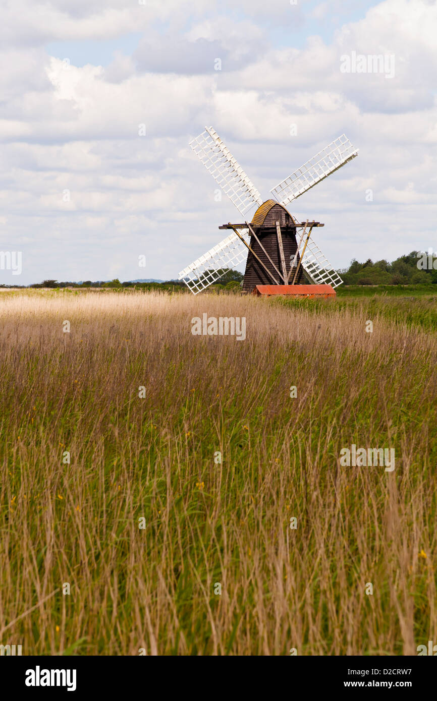 Heeringfleet Wind Pumpe, Suffolk, England. Stockfoto