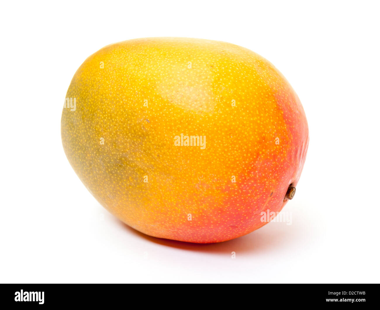 Frische Mango auf weißem Hintergrund Stockfoto